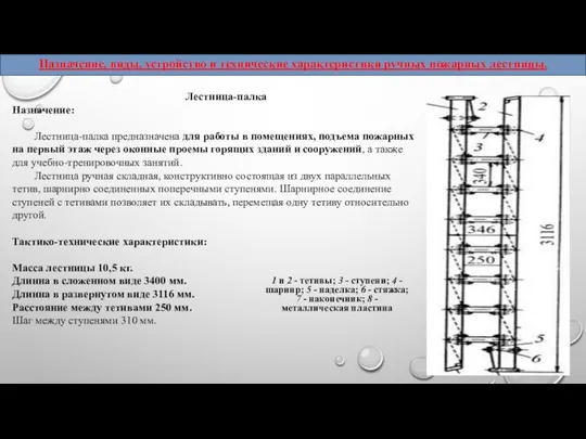 Лестница-палка Назначение: Лестница-палка предназначена для работы в помещениях, подъема пожарных на