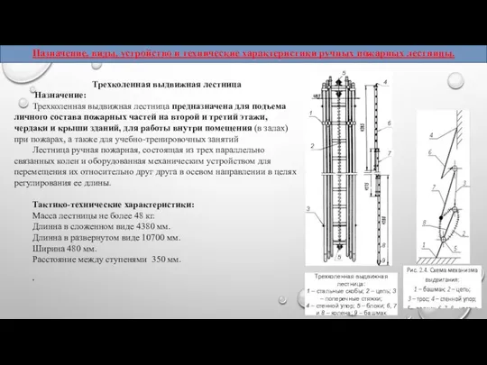 Трехколенная выдвижная лестница Назначение: Трехколенная выдвижная лестница предназначена для подъема личного