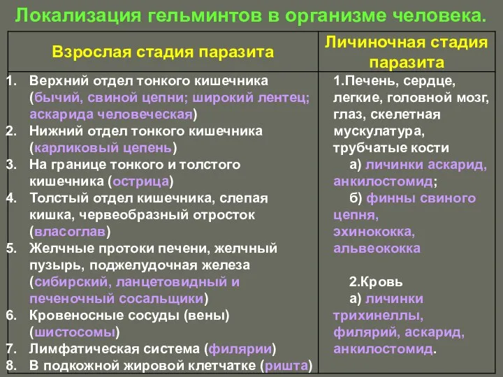 Локализация гельминтов в организме человека.