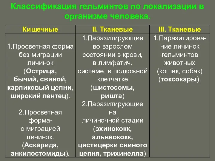 Классификация гельминтов по локализации в организме человека.