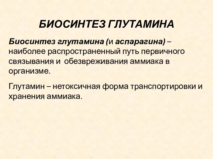 БИОСИНТЕЗ ГЛУТАМИНА Биосинтез глутамина (и аспарагина) – наиболее распространенный путь первичного