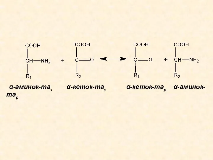 α-аминок-таs α-кеток-таs α-кеток-тар α-аминок-тар