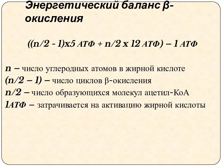 Энергетический баланс β-окисления ((n/2 - 1)x5 АТФ + n/2 x 12