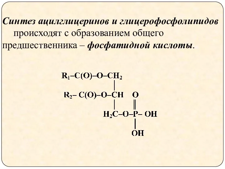 Синтез ацилглицеринов и глицерофосфолипидов происходят с образованием общего предшественника – фосфатидной кислоты.