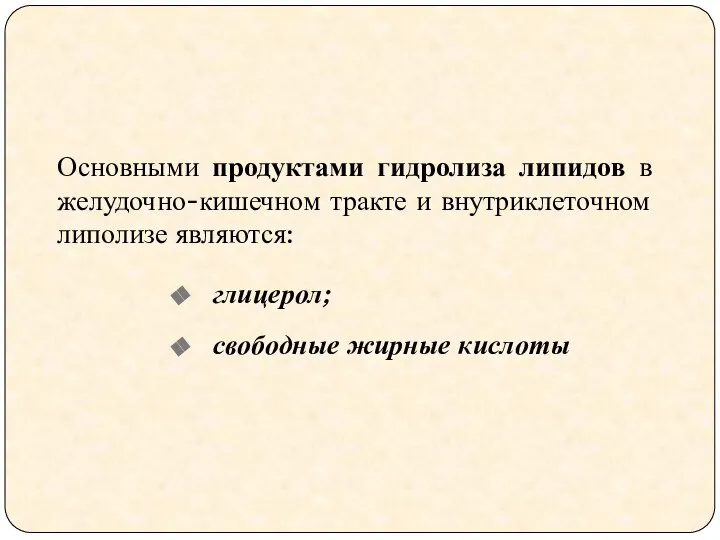 Основными продуктами гидролиза липидов в желудочно-кишечном тракте и внутриклеточном липолизе являются: глицерол; свободные жирные кислоты