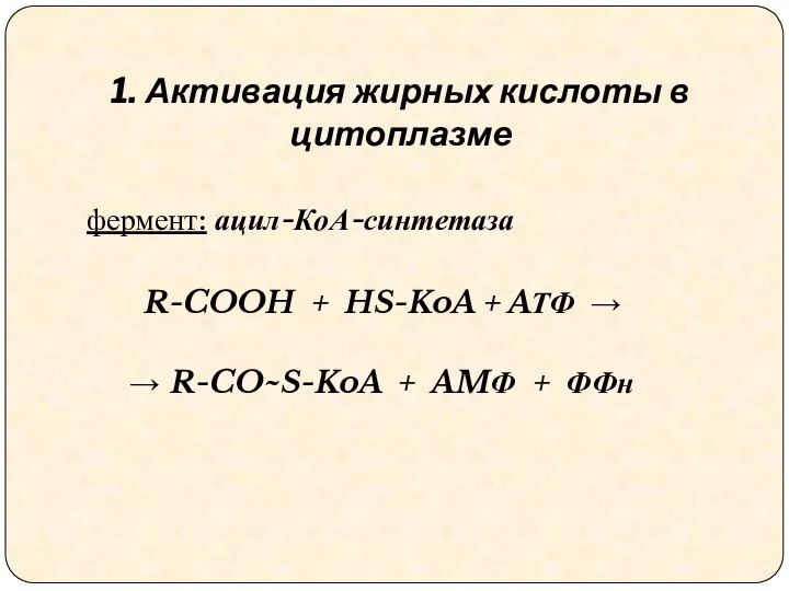 1. Активация жирных кислоты в цитоплазме фермент: ацил-КоА-синтетаза R-COOH + HS-KoA