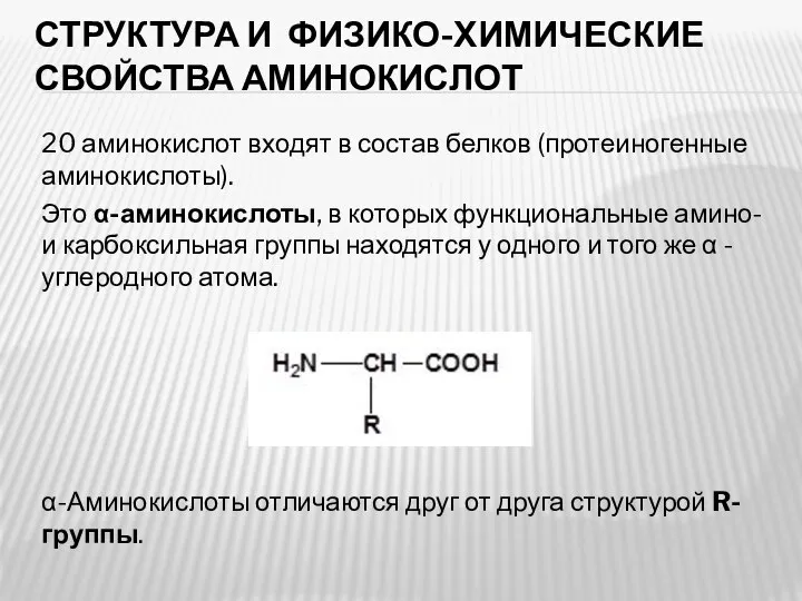 СТРУКТУРА И ФИЗИКО-ХИМИЧЕСКИЕ СВОЙСТВА АМИНОКИСЛОТ 20 аминокислот входят в состав белков