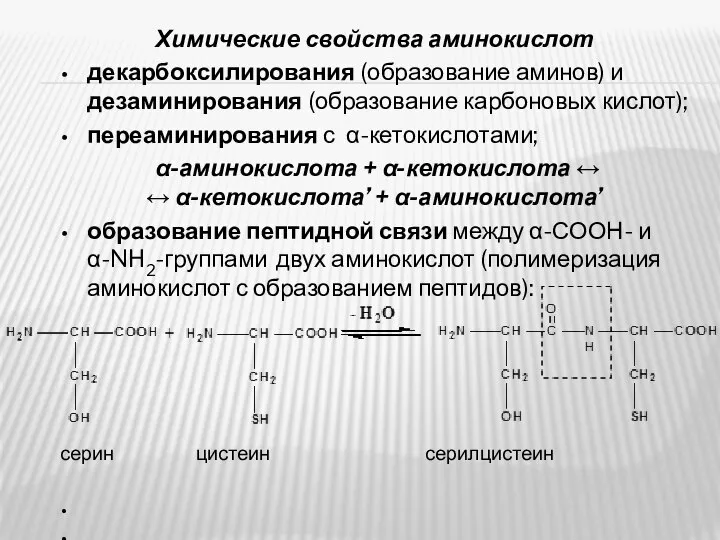 Химические свойства аминокислот декарбоксилирования (образование аминов) и дезаминирования (образование карбоновых кислот);