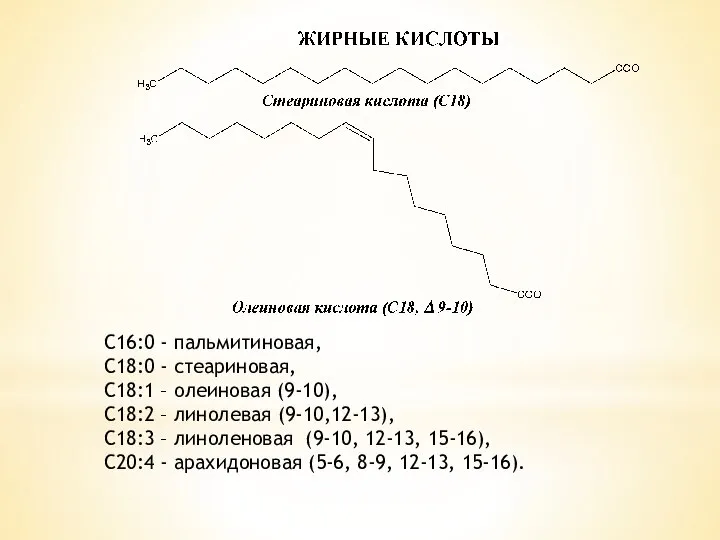 С16:0 - пальмитиновая, С18:0 - стеариновая, С18:1 – олеиновая (9-10), С18:2