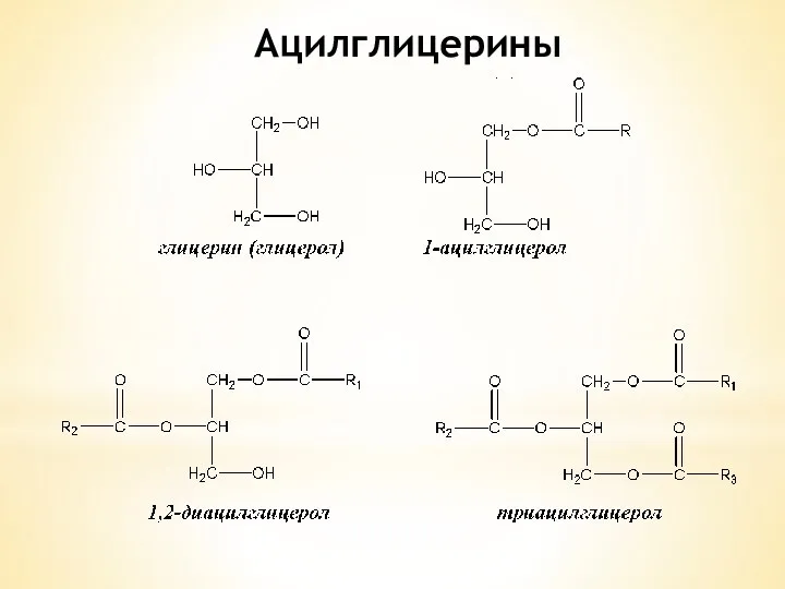 Ацилглицерины