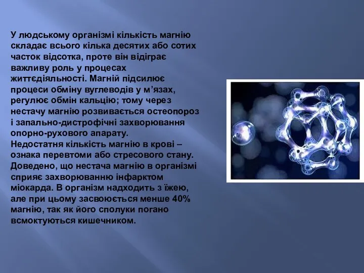 У людському організмі кількість магнію складає всього кілька десятих або сотих