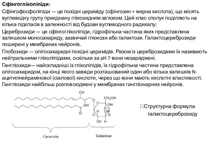 Сфінгогліколіпіди: Сфінгофосфоліпіди — це похідні цераміду (сфінгозин + жирна кислота), що