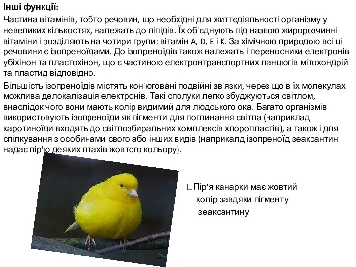 Інші функції: Частина вітамінів, тобто речовин, що необхідні для життєдіяльності організму