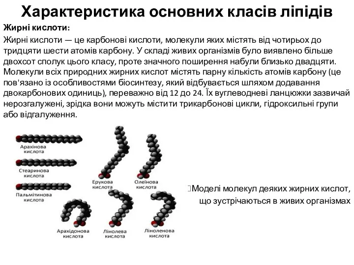 Характеристика основних класів ліпідів Жирні кислоти: Жирні кислоти — це карбонові