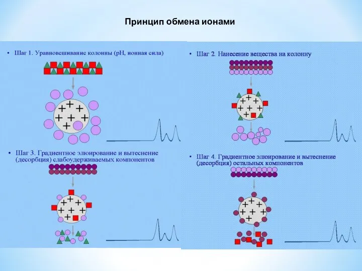 Принцип обмена ионами