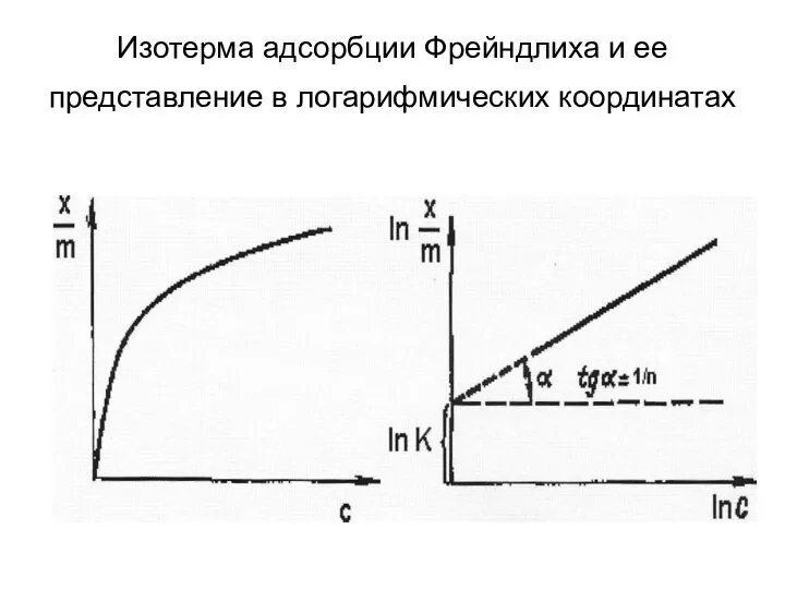 Изотерма адсорбции Фрейндлиха и ее представление в логарифмических координатах