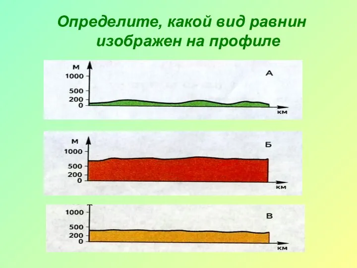 Определите, какой вид равнин изображен на профиле