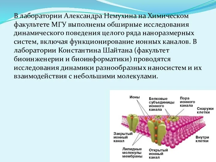 В лаборатории Александра Немухина на Химическом факультете МГУ выполнены обширные исследования