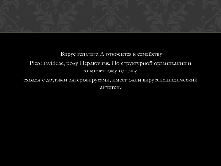 Вирус гепатита А относится к семейству Picornaviridae, роду Hepatovirus. По структурной