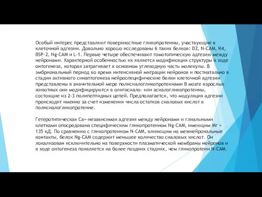 Особый интерес представляют поверхностные гликопротеины, участвующие в клеточной адгезии. Довольно хорошо