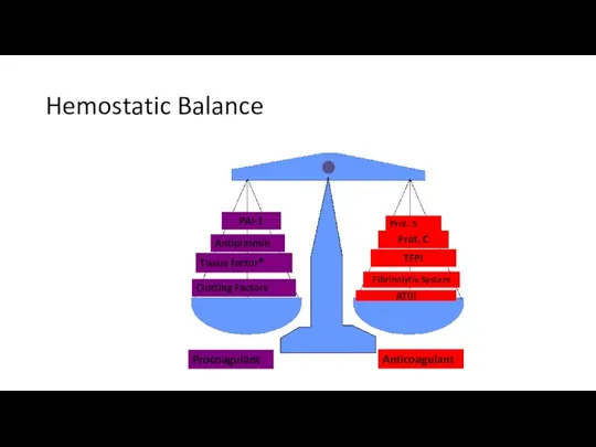 Hemostatic Balance ATIII Clotting Factors Tissue factor* PAI-1 Antiplasmin TFPI Prot.