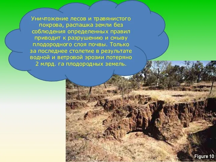 Уничтожение лесов и травянистого покрова, распашка земли без соблюдения определенных правил