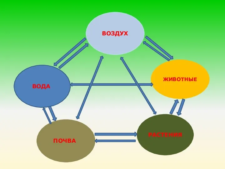 ВОЗДУХ ВОДА ПОЧВА ЖИВОТНЫЕ РАСТЕНИЯ