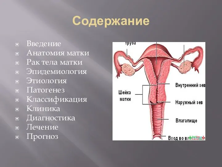 Содержание Введение Анатомия матки Рак тела матки Эпидемиология Этиология Патогенез Классификация Клиника Диагностика Лечение Прогноз