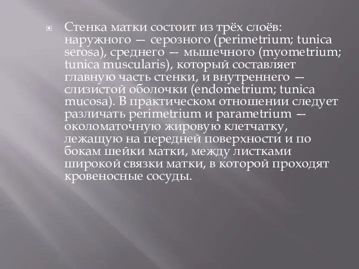 Стенка матки состоит из трёх слоёв: наружного — серозного (perimetrium; tunica