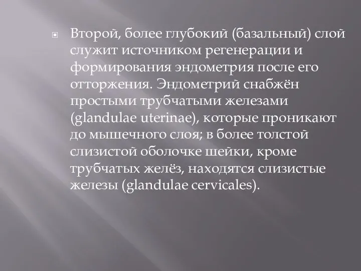 Второй, более глубокий (базальный) слой служит источником регенерации и формирования эндометрия