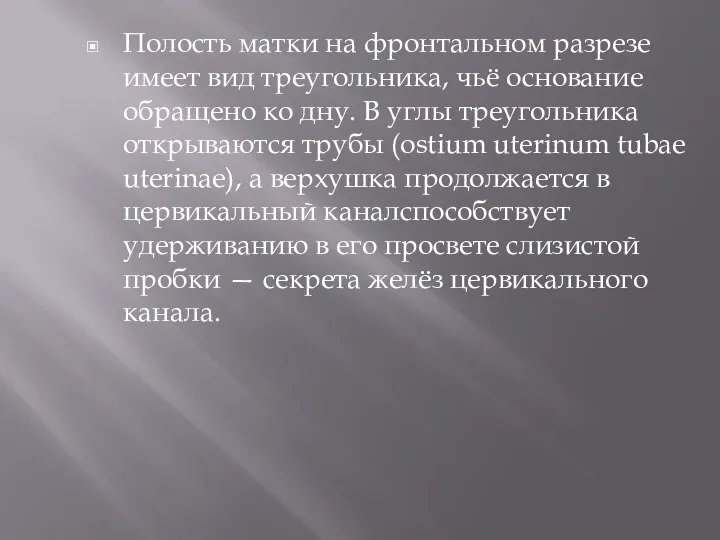 Полость матки на фронтальном разрезе имеет вид треугольника, чьё основание обращено