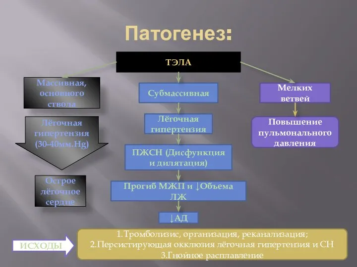 Патогенез: ТЭЛА Массивная, основного ствола Лёгочная гипертензия (30-40мм.Hg) Острое лёгочное сердце