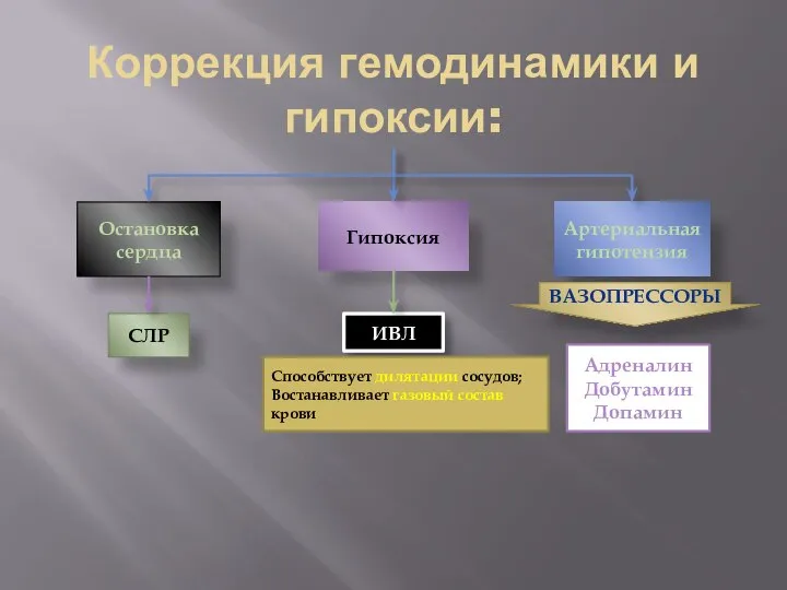 Коррекция гемодинамики и гипоксии: Остановка сердца СЛР Гипоксия ИВЛ Артериальная гипотензия