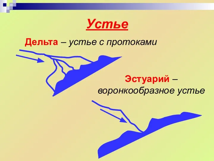 Устье Дельта – устье с протоками Эстуарий – воронкообразное устье