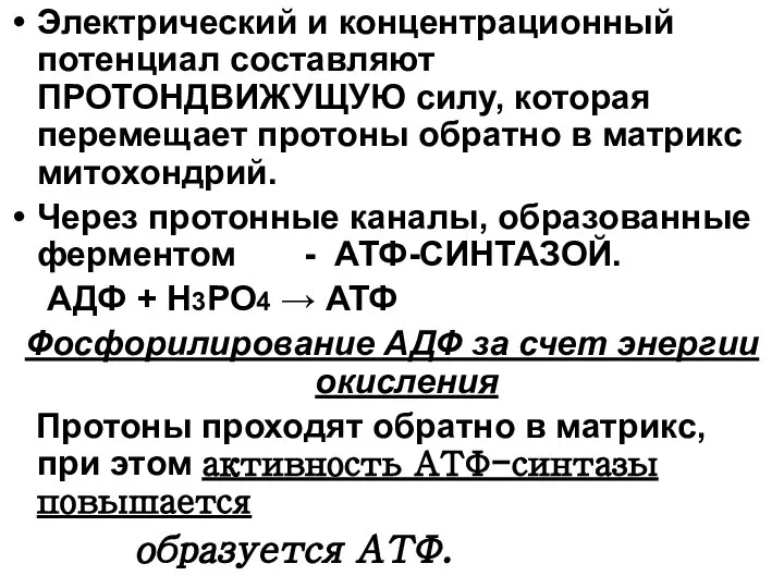 Электрический и концентрационный потенциал составляют ПРОТОНДВИЖУЩУЮ силу, которая перемещает протоны обратно