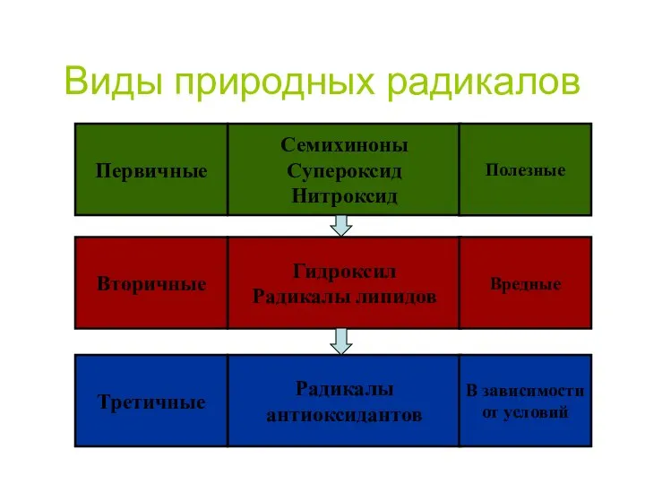 Виды природных радикалов