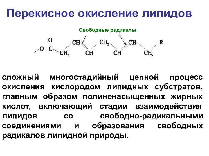 Перекисное окисление липидов сложный многостадийный цепной процесс окисления кислородом липидных субстратов,