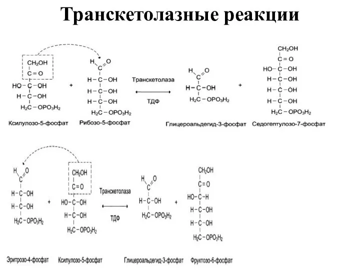 Транскетолазные реакции