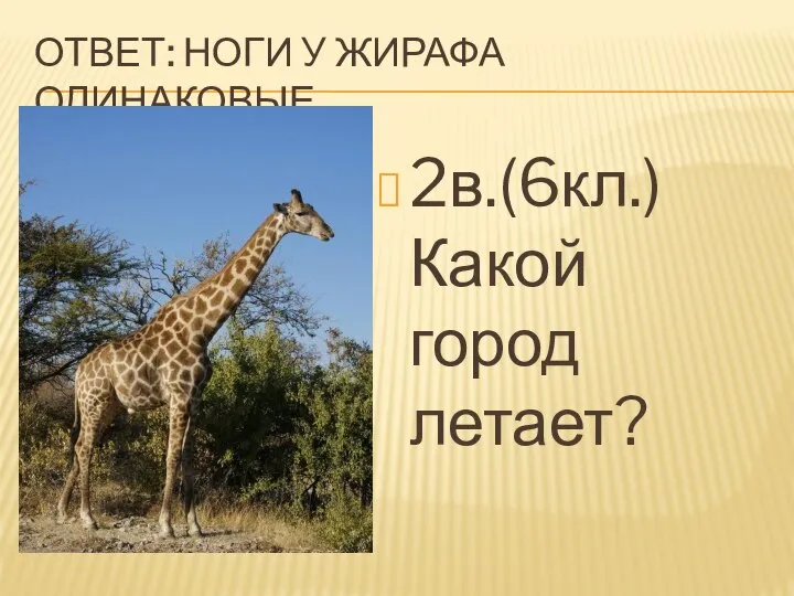 ОТВЕТ: НОГИ У ЖИРАФА ОДИНАКОВЫЕ 2в.(6кл.) Какой город летает?