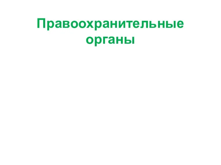 Правоохранительные органы