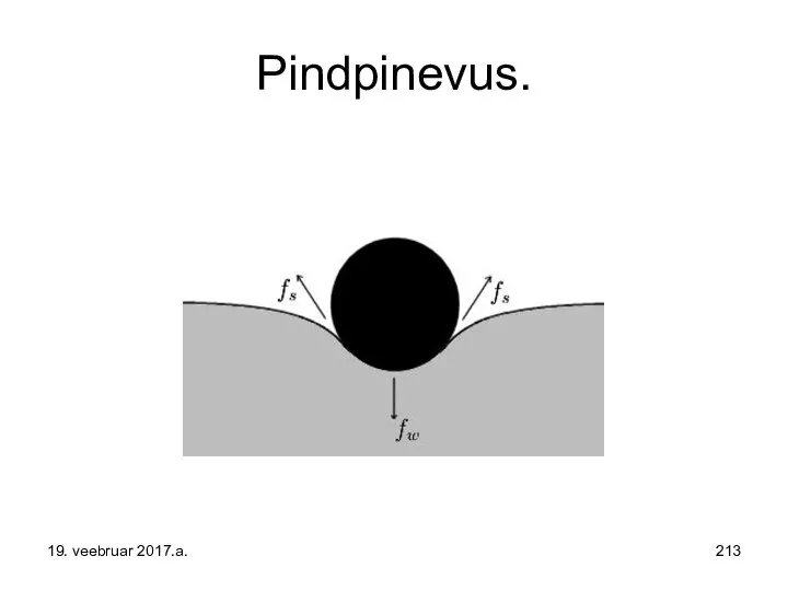 Pindpinevus. 19. veebruar 2017.a.