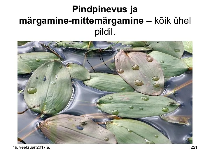 Pindpinevus ja märgamine-mittemärgamine – kõik ühel pildil. 19. veebruar 2017.a.