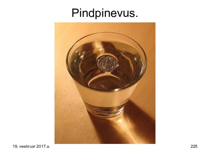 Pindpinevus. 19. veebruar 2017.a.