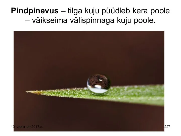 Pindpinevus – tilga kuju püüdleb kera poole – väikseima välispinnaga kuju poole. 19. veebruar 2017.a.