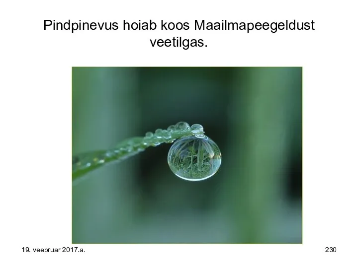 Pindpinevus hoiab koos Maailmapeegeldust veetilgas. 19. veebruar 2017.a.