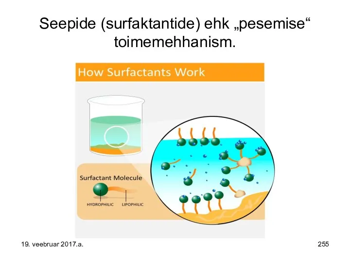 Seepide (surfaktantide) ehk „pesemise“ toimemehhanism. 19. veebruar 2017.a.