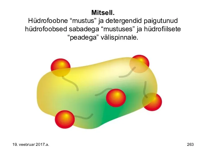 Mitsell. Hüdrofoobne “mustus” ja detergendid paigutunud hüdrofoobsed sabadega “mustuses” ja hüdrofiilsete “peadega” välispinnale. 19. veebruar 2017.a.