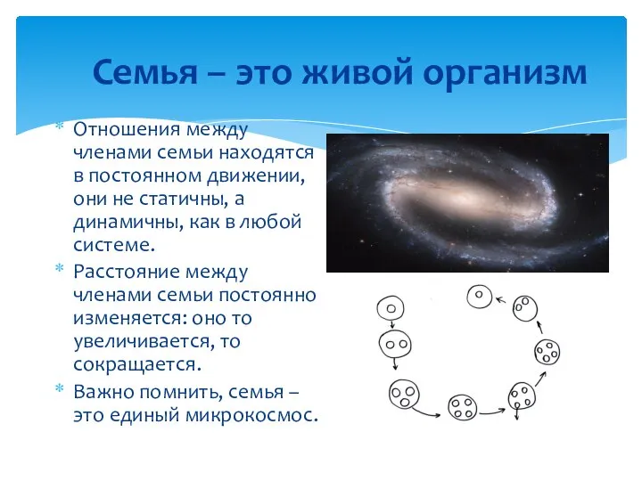 Семья – это живой организм Отношения между членами семьи находятся в