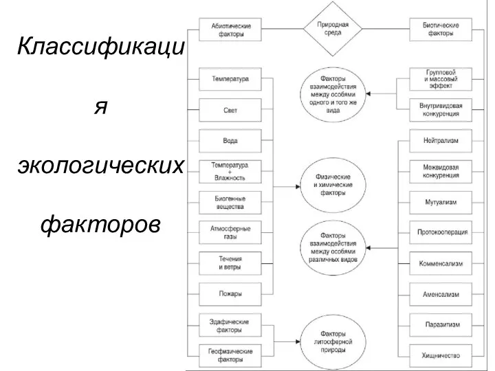 Классификация экологических факторов