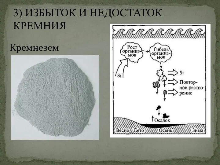 3) ИЗБЫТОК И НЕДОСТАТОК КРЕМНИЯ Кремнезем